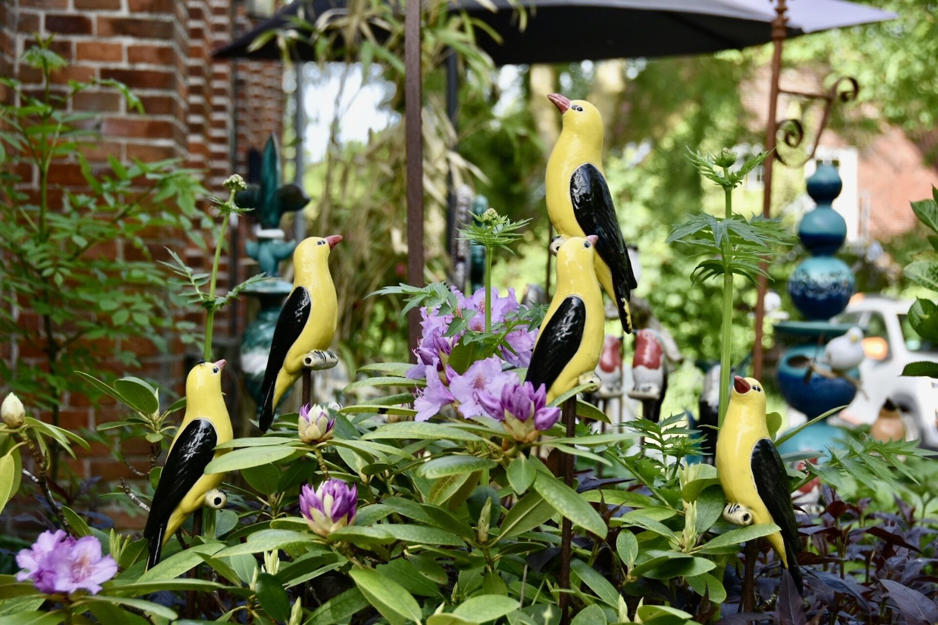 In unserer Ausstellung in Loquard können Sie viele Vögel live besichtigen 